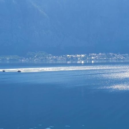 Magnolia Adriatic Leilighet Kotor Eksteriør bilde