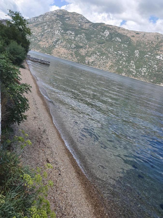 Magnolia Adriatic Leilighet Kotor Eksteriør bilde