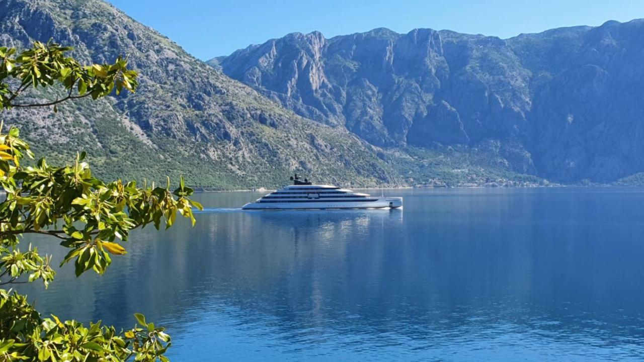 Magnolia Adriatic Leilighet Kotor Eksteriør bilde