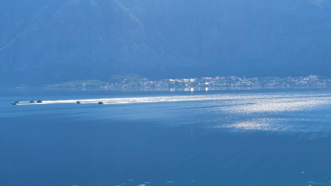 Magnolia Adriatic Leilighet Kotor Eksteriør bilde